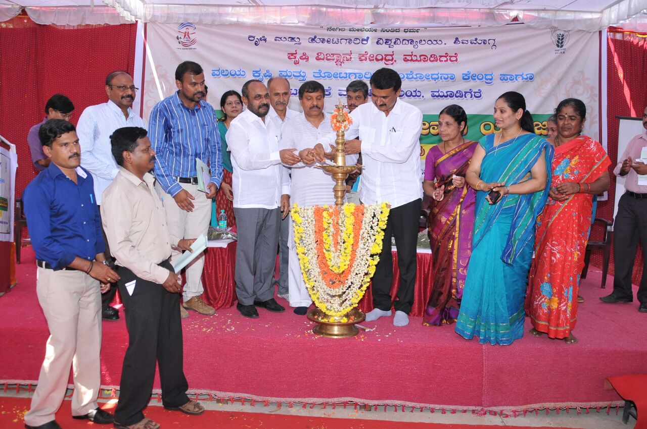 ಪ್ರಧಾನ ಮಂತ್ರಿ ಫಸಲ್ ಬಿಮಾ’ ಲಾಭದಾಯಕ ವಿಮೆ ಯೋಜನೆ: ಎಂ.ಕೆಪ್ರಾಣೇಶ್